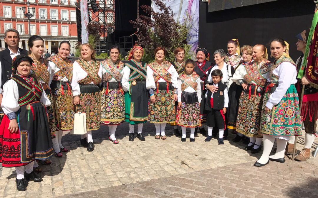 San Isidro 2017 y las danzas de Zamora